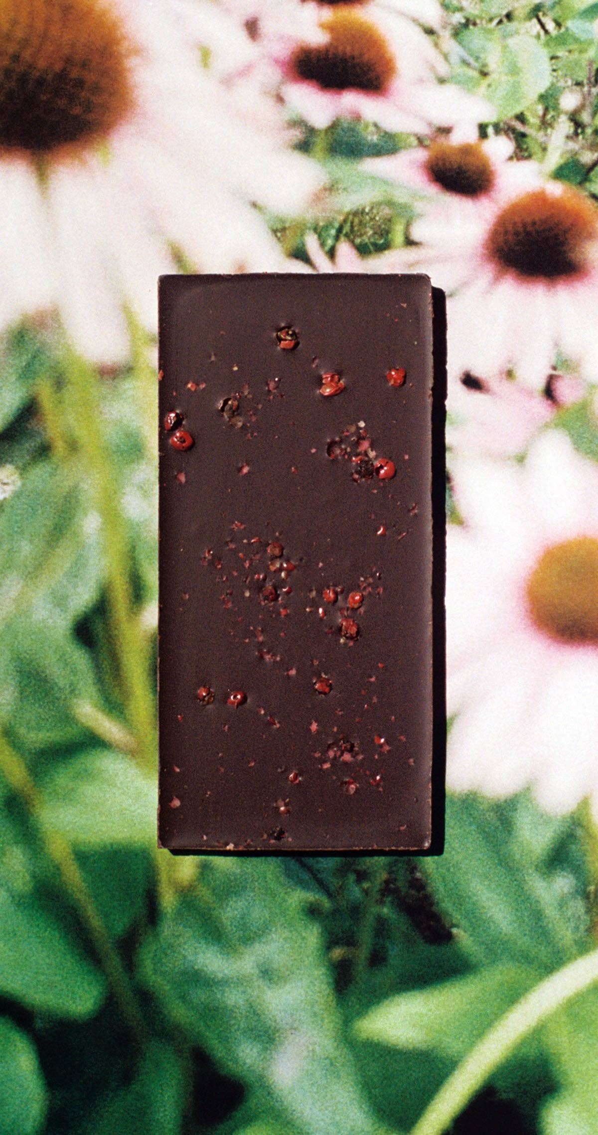 Pink Peppercorn Dark Chocolate 70%