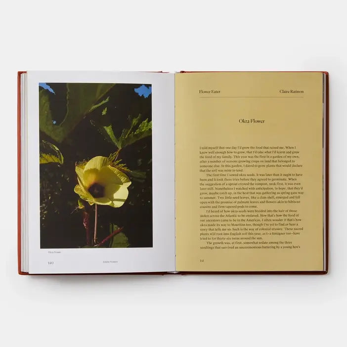Edible Flowers: How  Why  And When We Eat Flowers