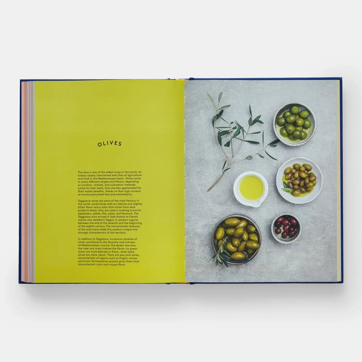 The Book Of Pasta