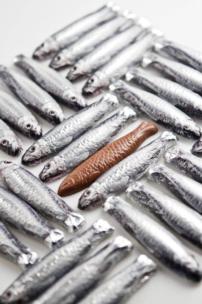 Chocolate Sardines In A Net