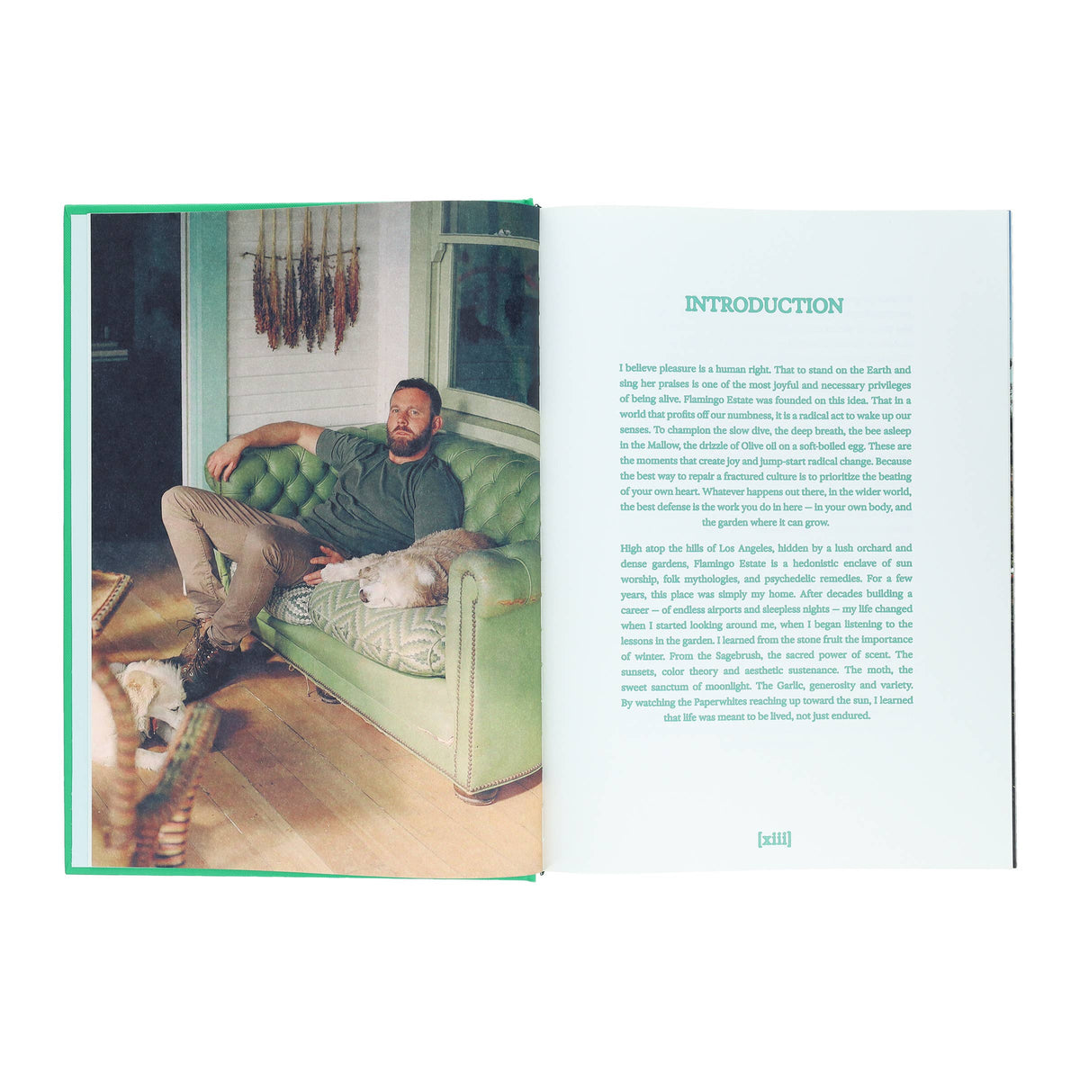 Flamingo Estate: The Guide to Becoming Alive